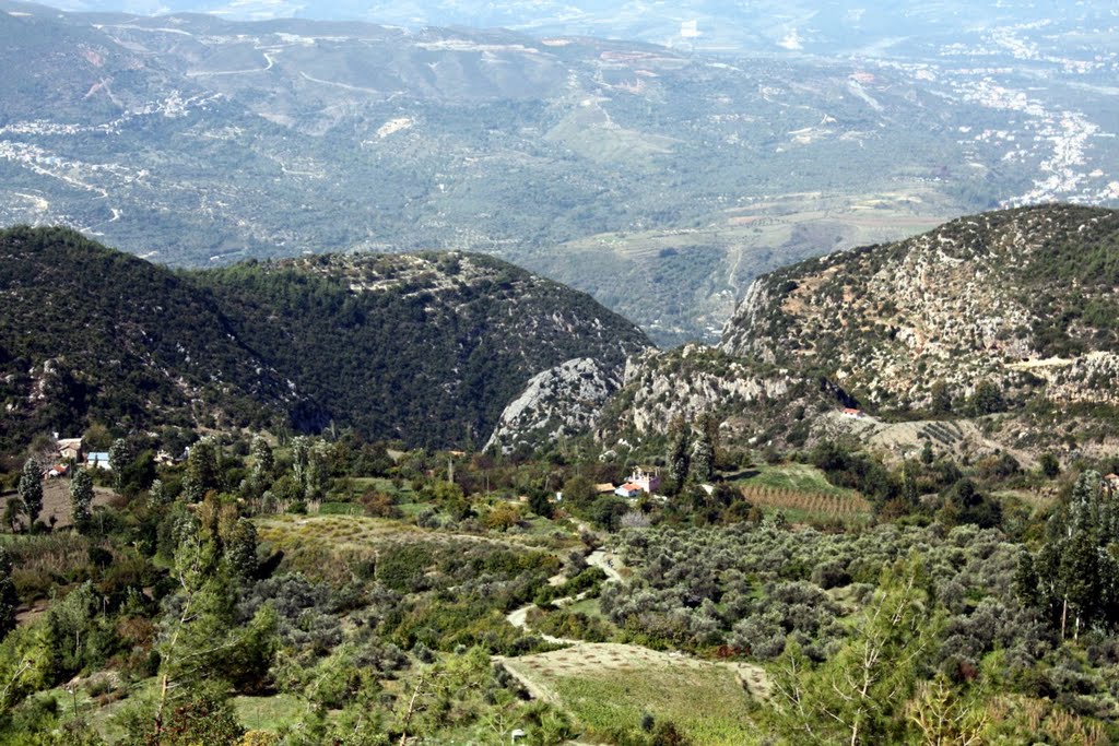 Hatay Dağdüzü (Çahsına) Yolu by zehter