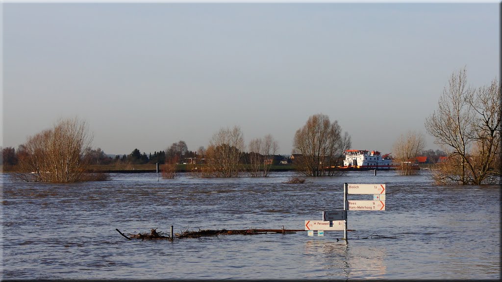 Bislich, Rheinhochwasser Januar 2011 by Klemens Overkamp