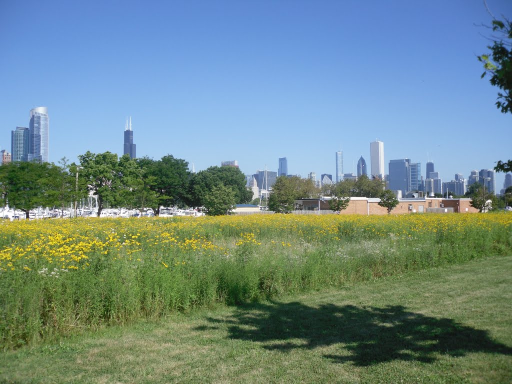 Northerly Island Park by Derek.Juliane