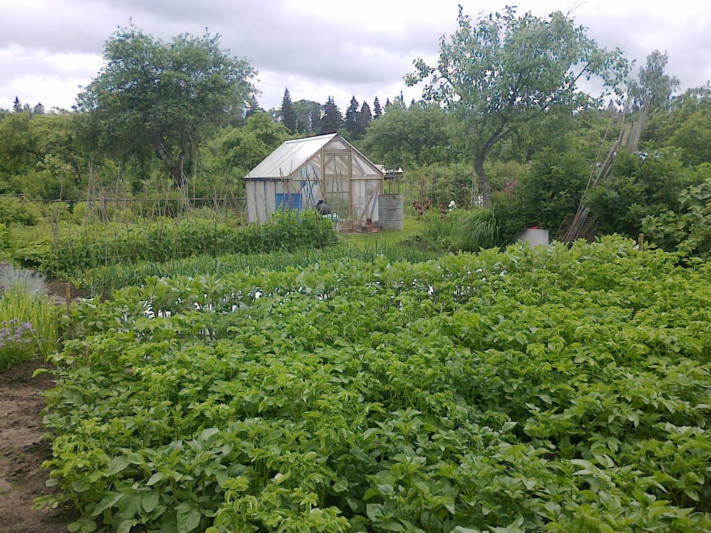 Garden by Rojs R.