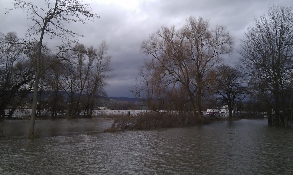 Hochwasser Rheinwiesen Budenheim by cato234