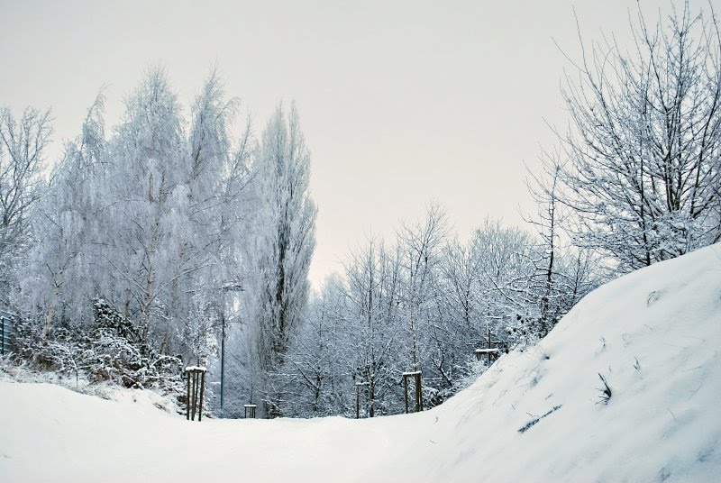 Verschneiter Weg by Garzer