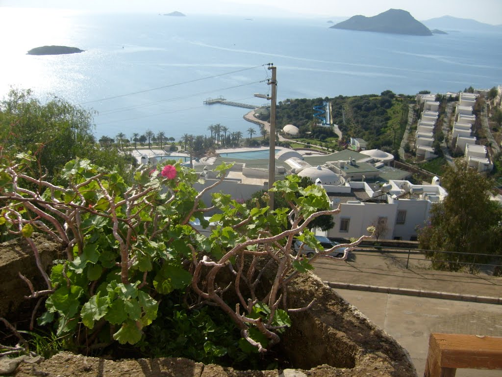 Bodrum... by birgül ergev