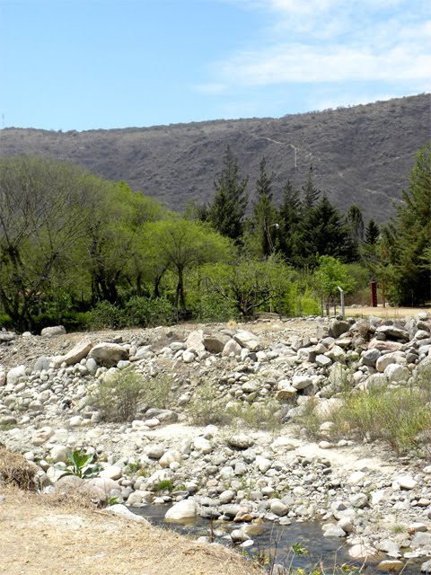 Rio de El Rodeo (hacia el norte) - Catamarca by RColmillo