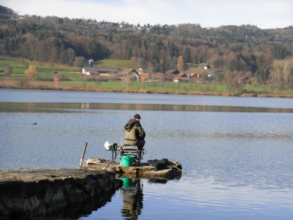 Fischer am Greifensee by Fritz Steiner