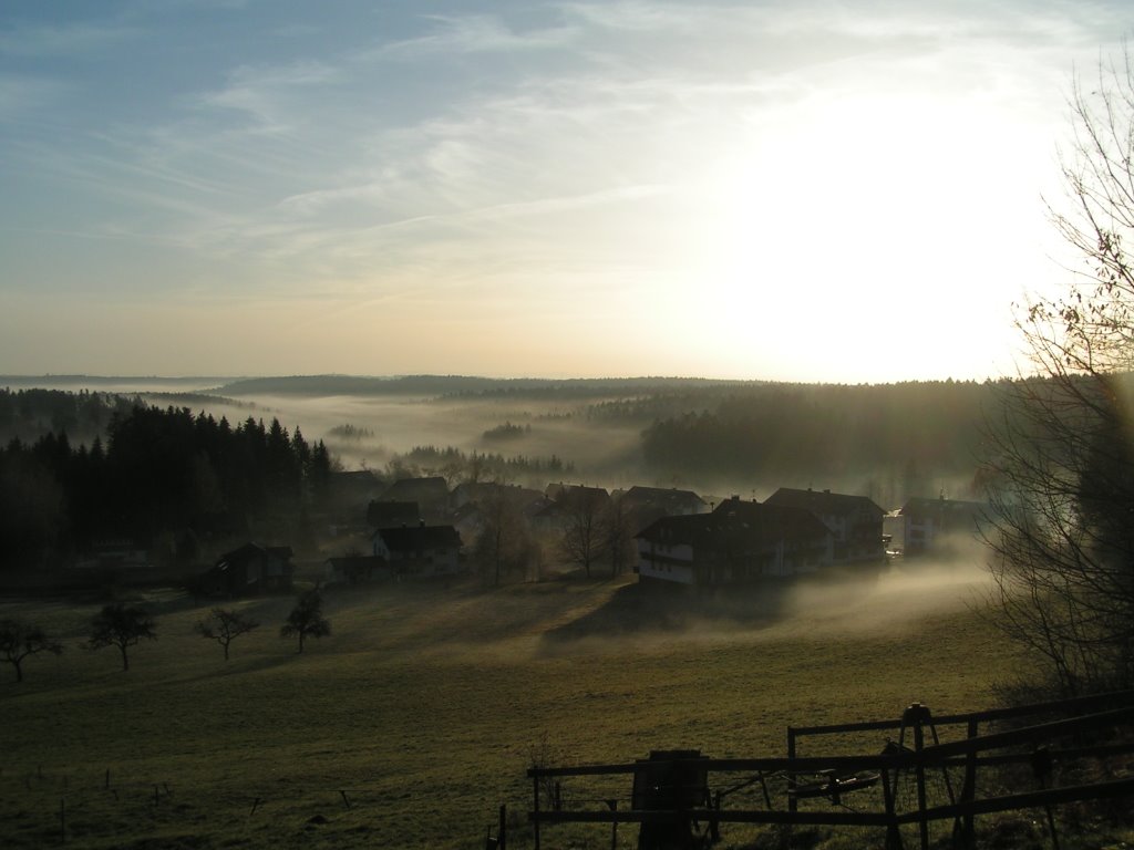 Lauterbad im herbstlichen Morgennebel by RDZfds