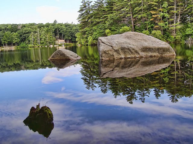 Neal's Cove - Pawtuckaway State Park by Scott Finley