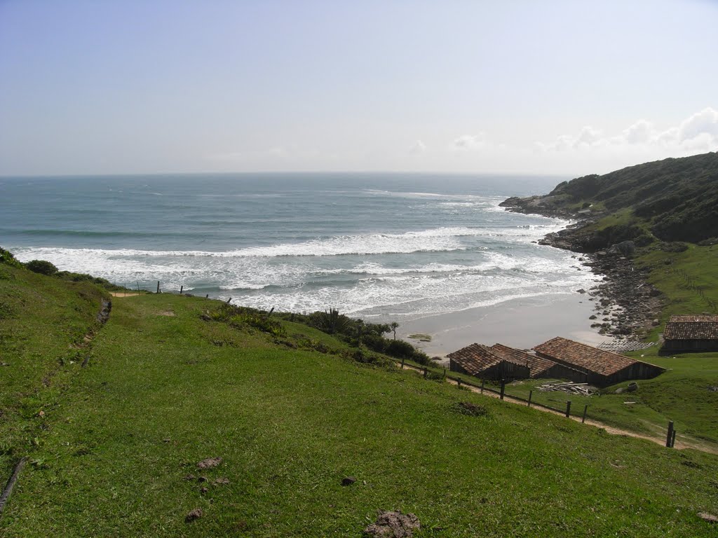 Praia do Rosa - Praia do Luz by Fritz Steiner