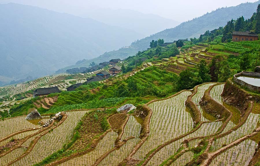 Rice Terraces, Longsheng by paul runnestø