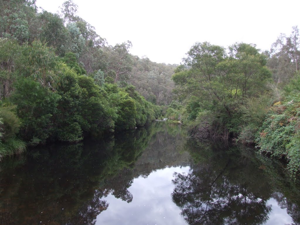 Timbarra River - East Gippsland by steve+michelle