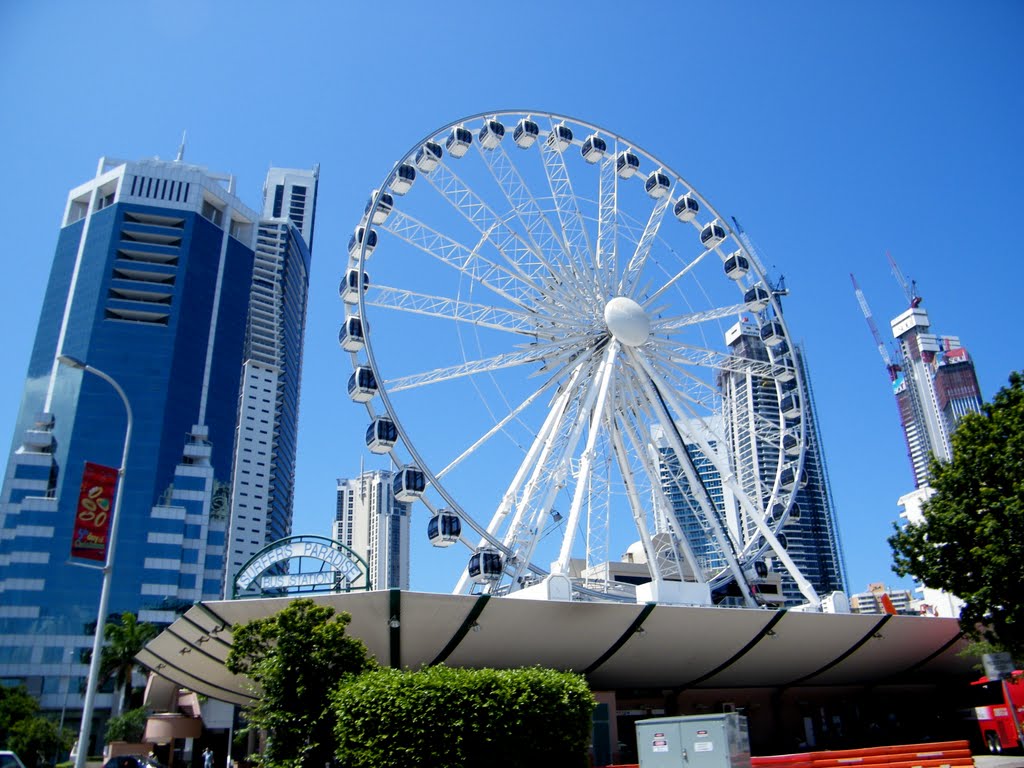 Surfers Paradise Bus Station by Alan Farlow