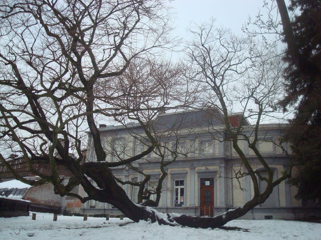 Parc botanique de Liège by okapi07