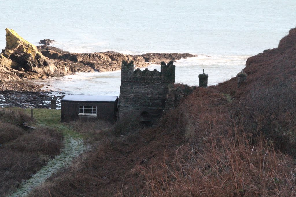 Castle, Long Rock, Near Robert's Head, Co. Cork, Ireland by Tomasz Bukowski