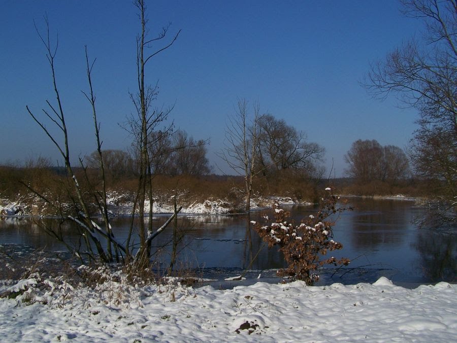 Zakole Drwęcy pod Brodnicą by Grzegorz W.