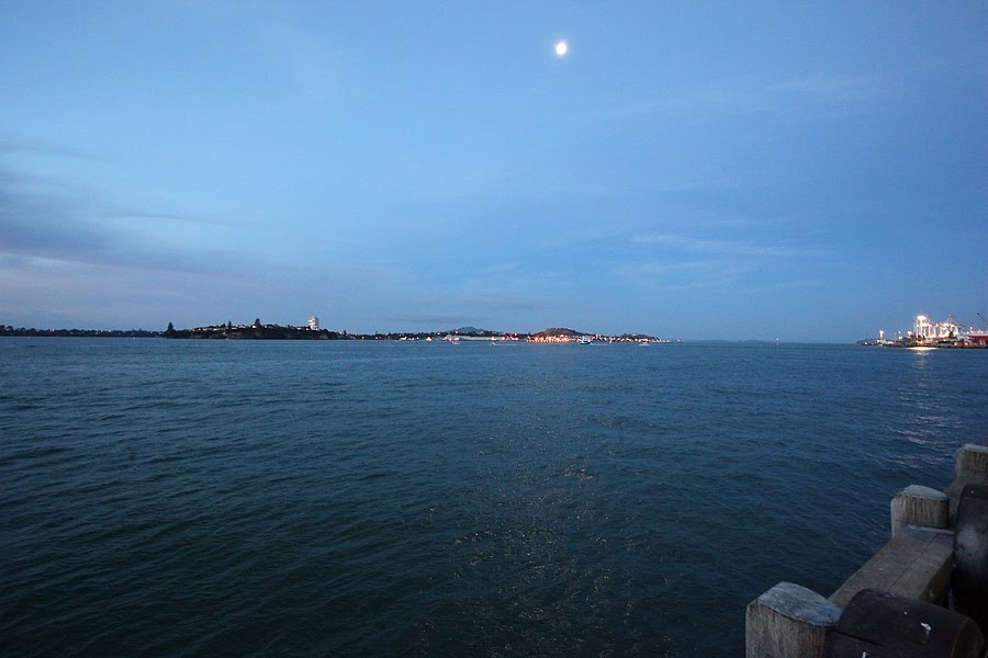 Auckland Harbour by Michael Hains