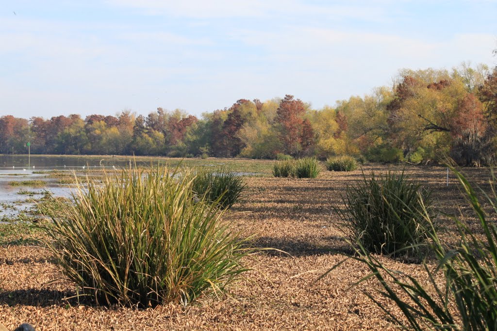 Intracoastal waterway near Morgan City by wnoble