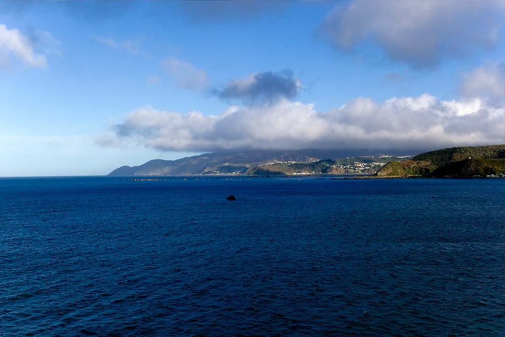 Wellington Harbour by Michael Hains