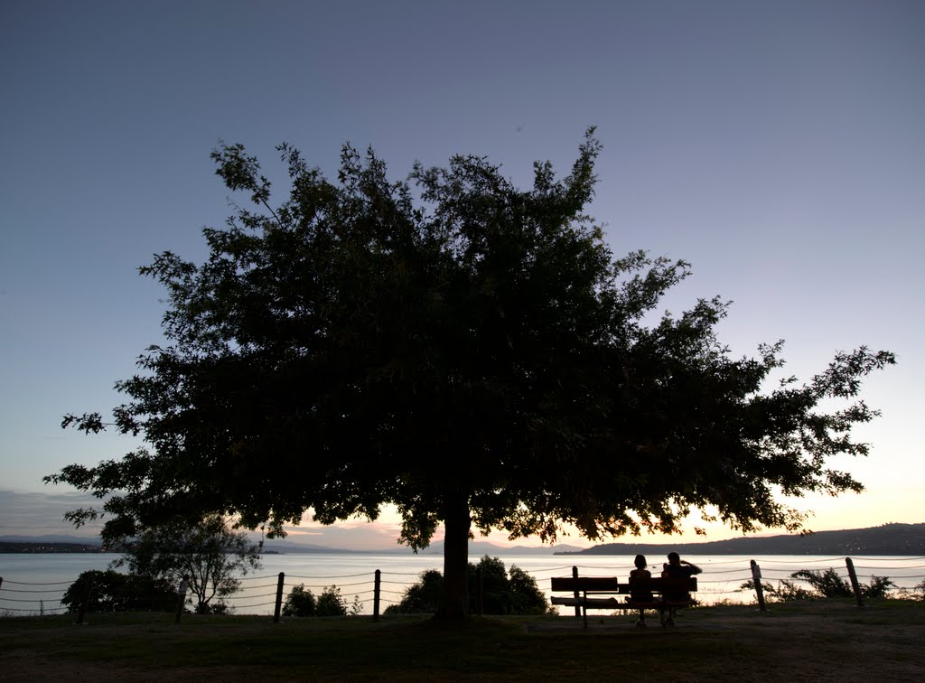 Lake Taupo New Zealand by Tazran Tanmizi