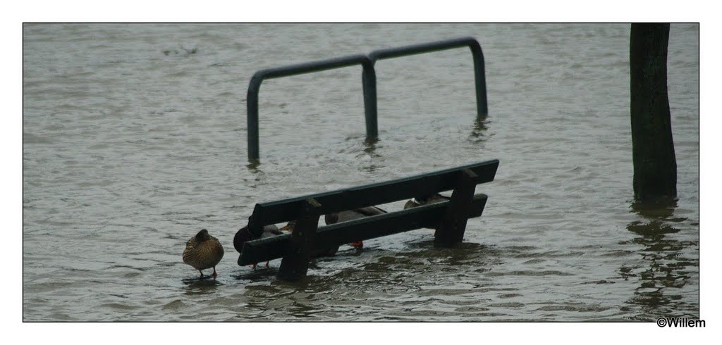 Hoogwater Waalkade Nijmegen by cuyfje