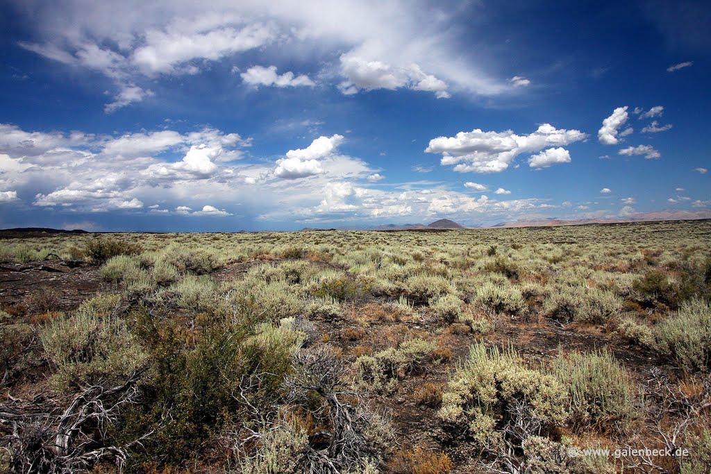 Shoshone Lava Field by www.galenbeck.de