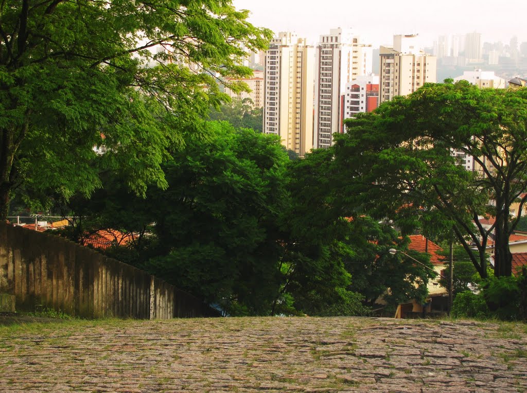 Vila Gomes, São Paulo, SP, Brasil. by André Bonacin