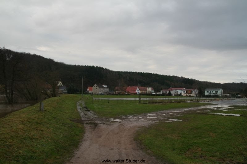 Klosterbuch, Muldenhochwasser 15.01.2011 by Walter Stuber