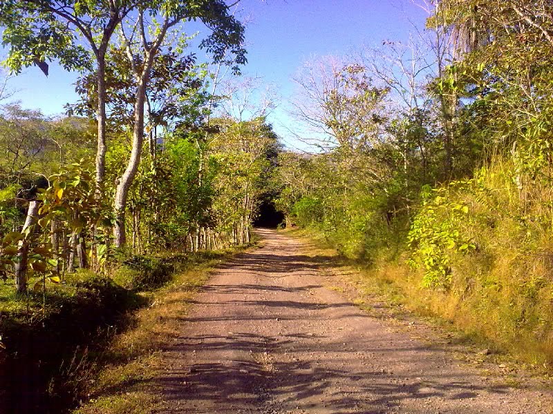 Camino al rio de Polka by Francisco Badilla (P…