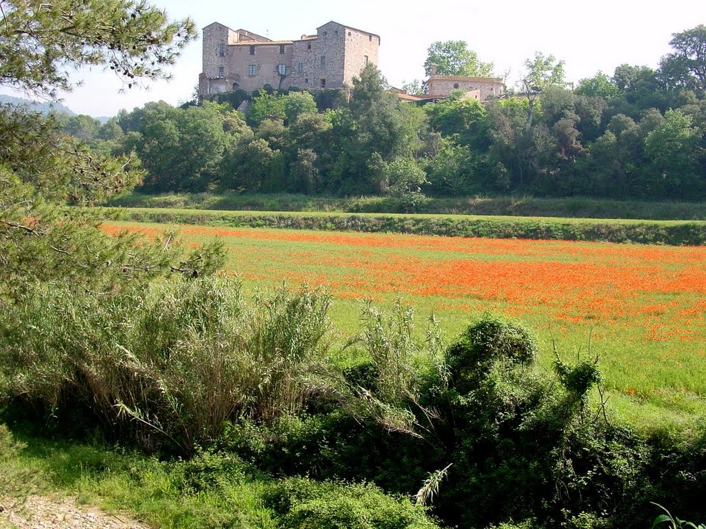 Castell de Sentmenat by Esteve Boix