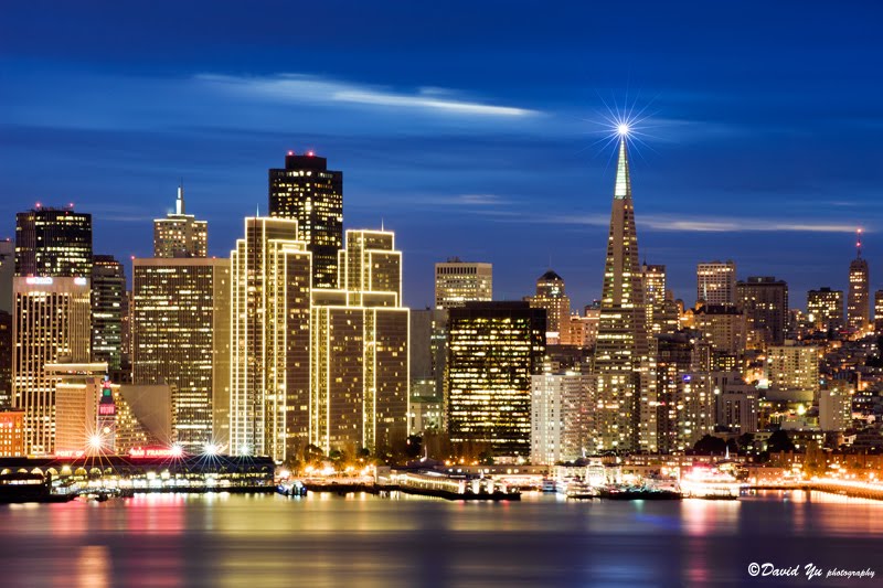 Embarcadero Center Christmas Lights San Francisco by David Yu