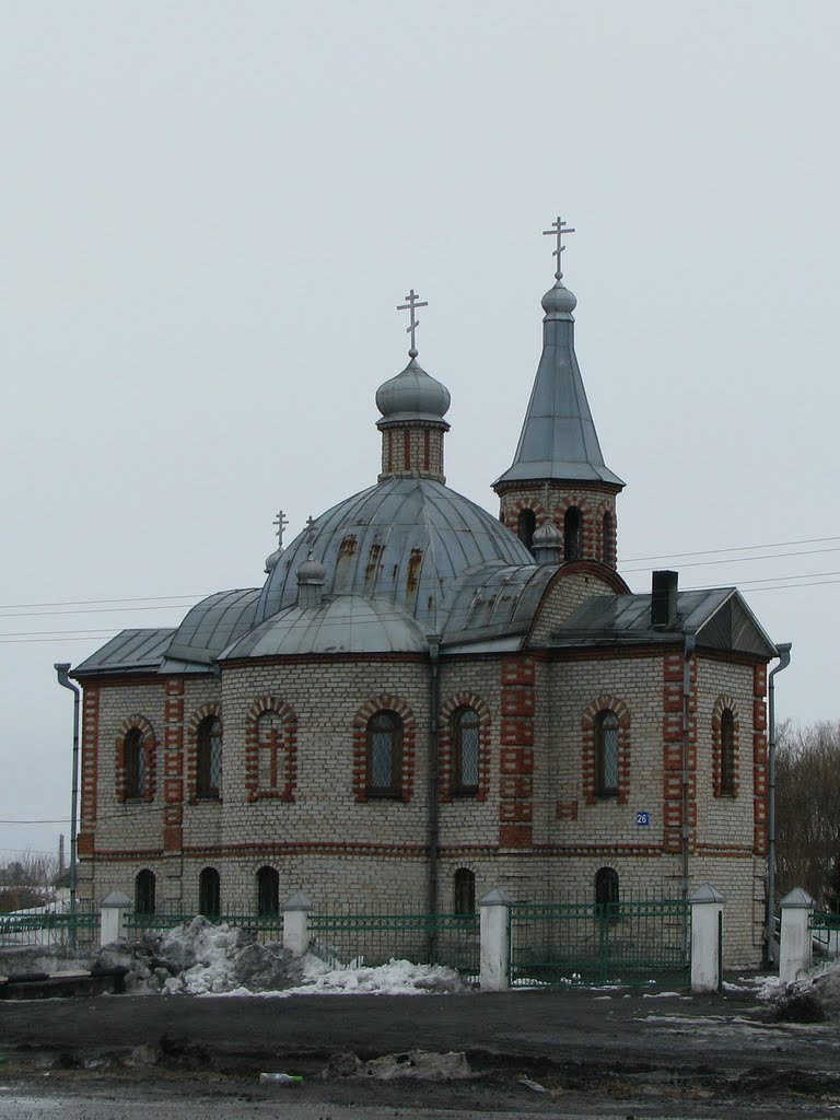 Церковь иконы Божией Матери "Одигитрия" в с.Демьяновка (март 2010г.) by Roman Petrushin