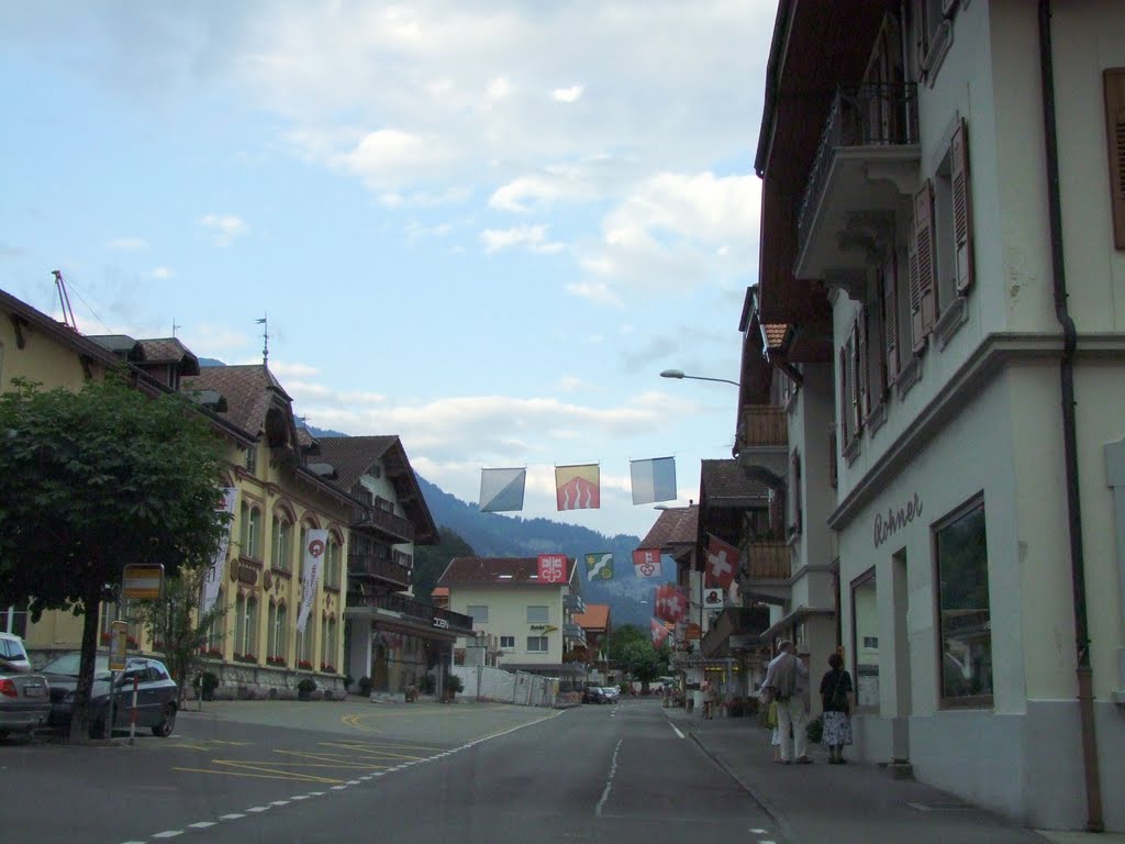 Niederried bei Interlaken, Switzerland by Anne Fiteni