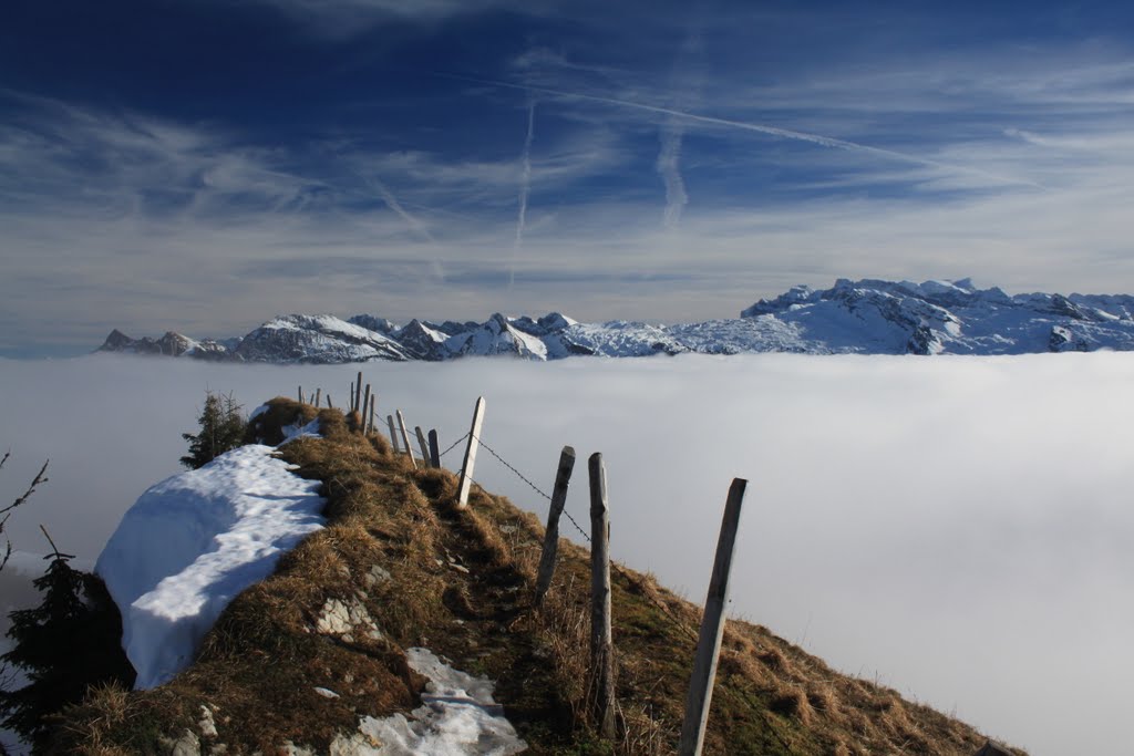 Blick ins Nebelmeer vom Chli Aubrig by Iwan Schrackmann