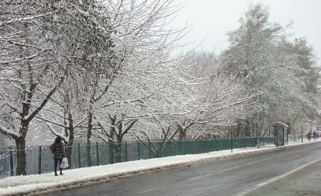 Snowy Crookes Valley Road looking towards Crookes Valley Park, Sheffield S10 by sixxsix