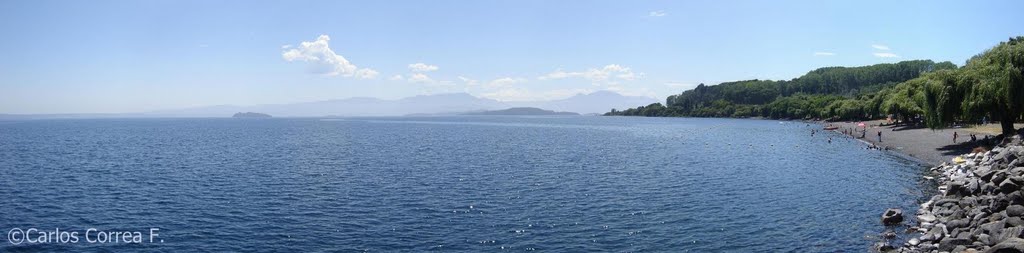 Playa de Lago Ranco by Carlos Correa