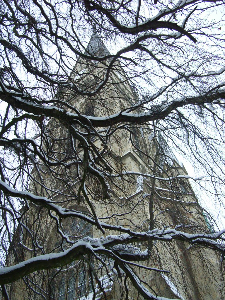 Turm der Kreuzkirche durch Hängebuchenzweige im Schnee by Francueil