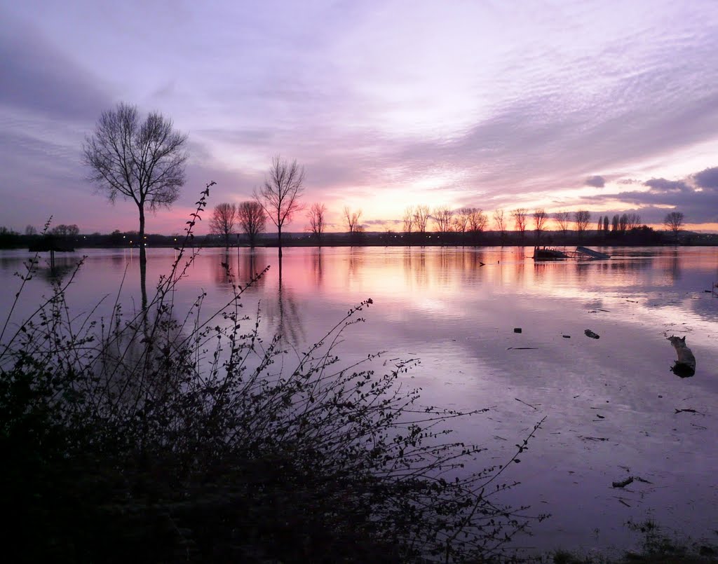 Hochwasser 2011 by aachim3