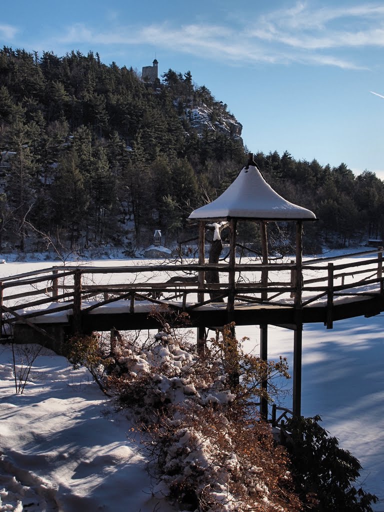 Winter at Lakee Mohonk by Marilyn Whiteley