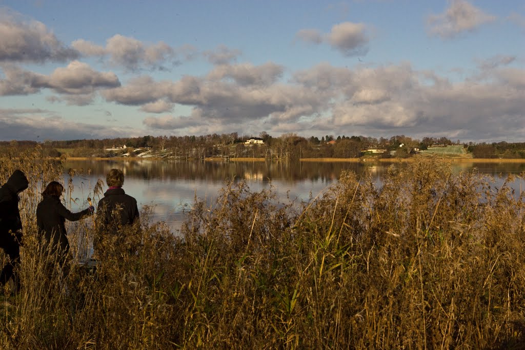 Sjælsø i efterårsfarver by Jan Lauridsen