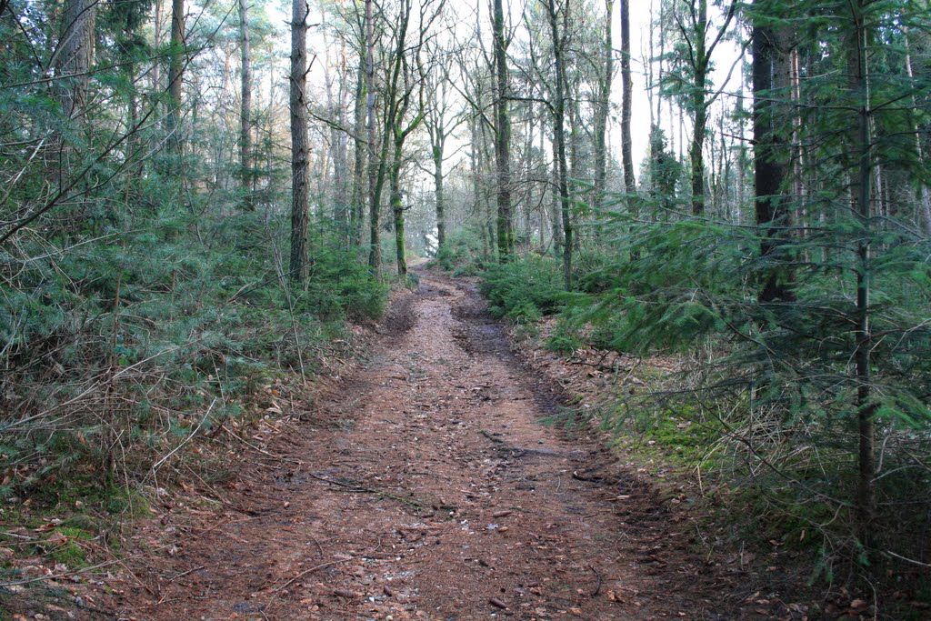 Klein Beekermark bij Loerbeek 12 by Jos Notten