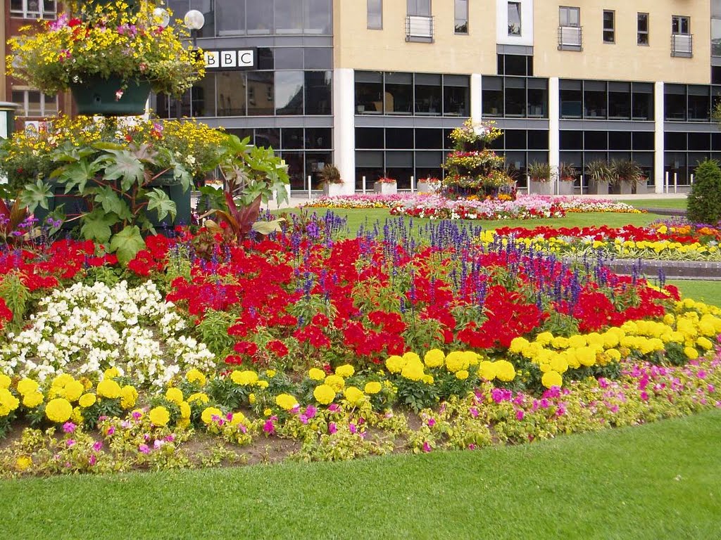 BBC Queens Gardens Kingston Upon Hull by mel54