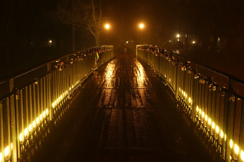 Nagornyy, Kharkov, Kharkovskaya oblast', Ukraine by Vladymyr Bysov