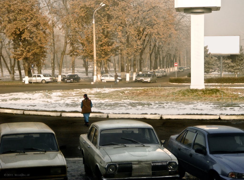 Winter in Tashkent by MiroslaV Gritsenko