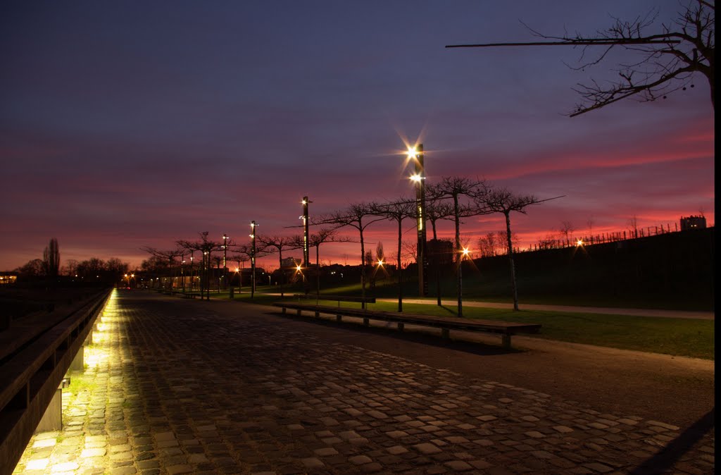 Parc de la Seille by armandb