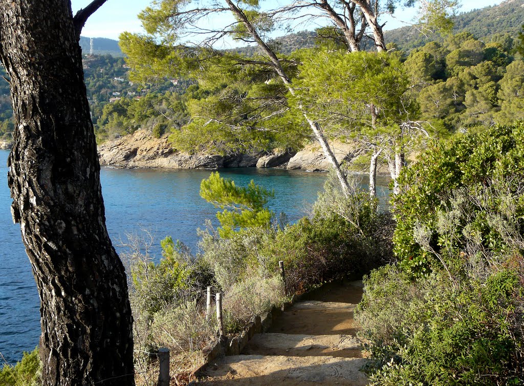 Dans les Jardins du Rayol by Liliane Paingaud