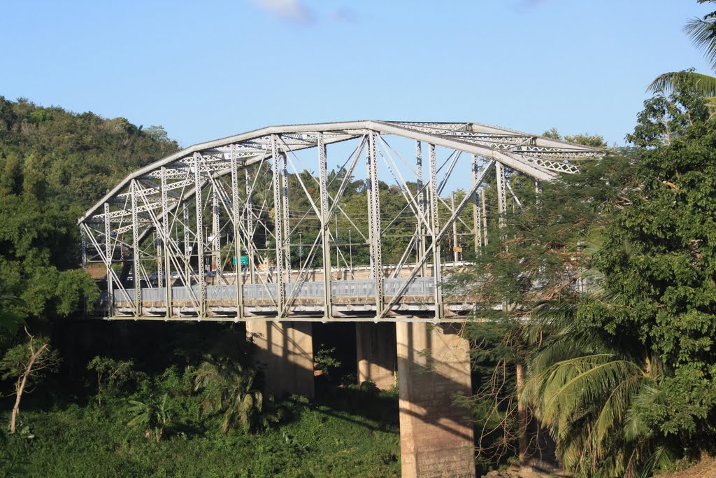 Puente sobre el Rio Grande de Loiza, Fué construido en 1939 con un ancho de 7 metros x 102.3 metros de largo. Fué declarado monumento histórico y solo se usa como puente peatonal.-Trujillo Alto by Ricardo David Jusino