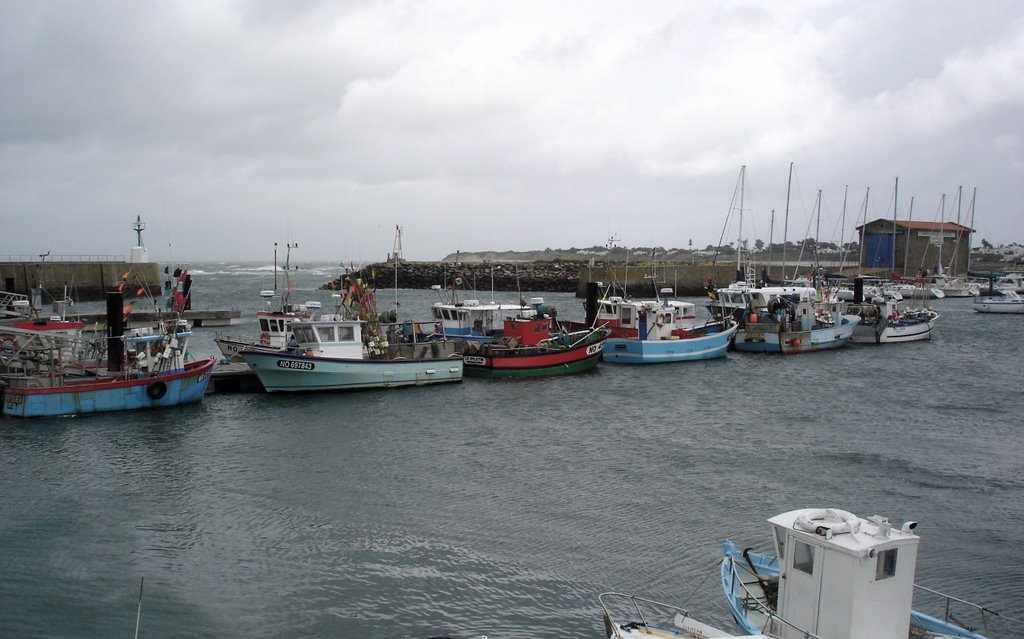 Port de l'Herbaudière by Michel Gervais (Cyan…