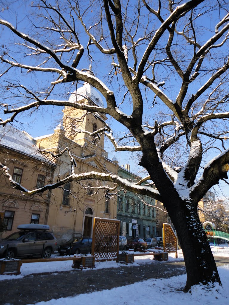 Evangelical Church in sunny winter day, Temesvar by Corneliu Anca