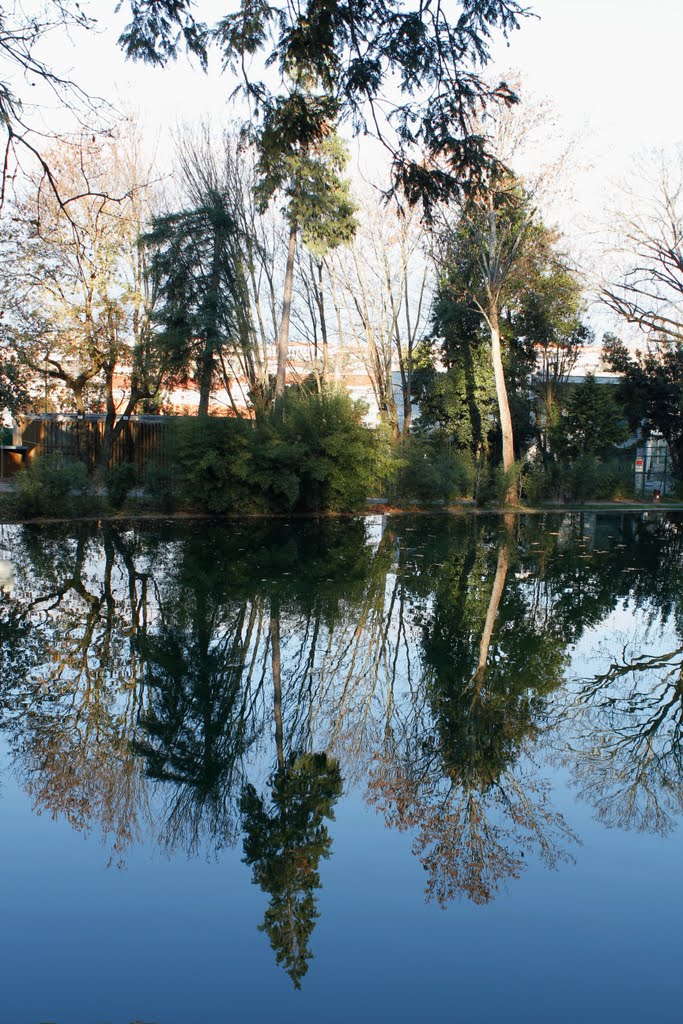 Parque da Ponte by Abilio Martins