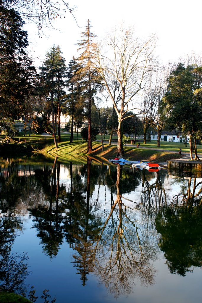 Parque da Ponte by Abilio Martins