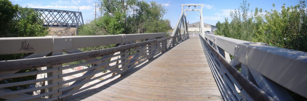 Sturdy Bridge by aaronlidman